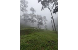 Balik Pulau, Penang