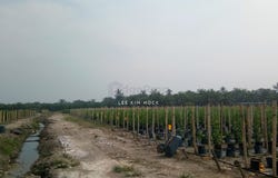 Jalan Raja Abdullah, Klang, Selangor 42200