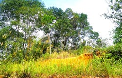 Puchong, Selangor 47120