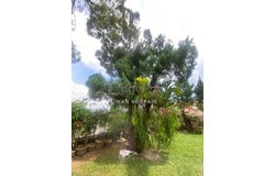 Off Jalan Cheras, Cheras, Kuala Lumpur 56100