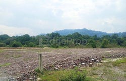 Kampung Paya Binjai, Dungun, Terengganu 23000