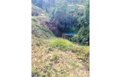 Sega, Pahang