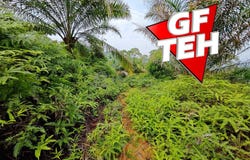 Selama, Perak 34100