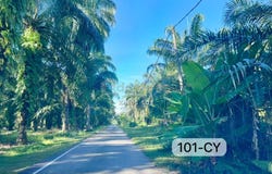 Kuala Langat, Selangor