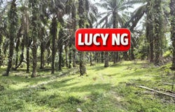 Larut Matang, Perak 34100
