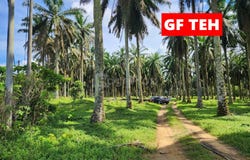 Selama, Selama, Perak 34100