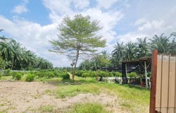 Kuala Selangor, Selangor 45600