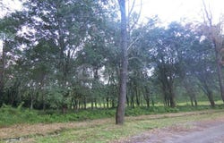 43500 Semenyih, Selangor, Semenyih, Selangor 43500
