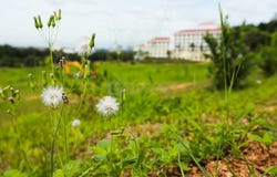 Bangi, Selangor 43650