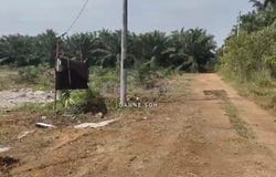Kuala Selangor, Selangor 45600