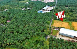 Bukit Mertajam, Penang 14000