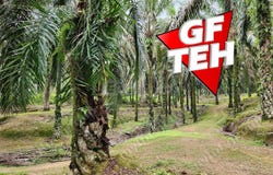 Larut Matang, Perak 34100