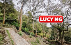 Balik Pulau, Penang 11000