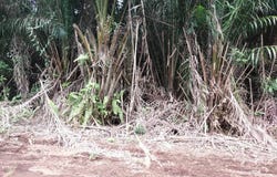 Telok Panglima Garang, Selangor 42500