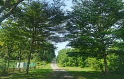 Sepang, Selangor 43900