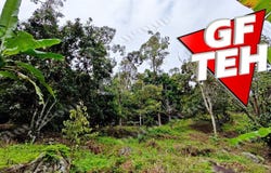 Balik Pulau, Penang 11000