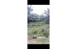 Banting, Selangor 42700
