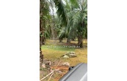 Jenjarom, Selangor 42600