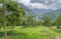 Raub, Pahang 0