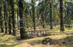 Batu Pahat, Johor Bahru, Batu Pahat, Johor 83000