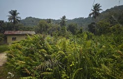 Balok, Pahang 26080
