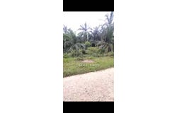 Banting, Selangor 42700