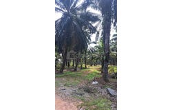 Banting, Selangor 42700