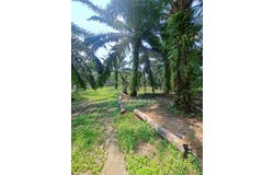 Kapar, Selangor 42200