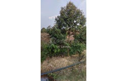 Jelebu, Negeri Sembilan 72300