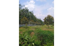 Segamat, Johor 85000
