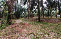 Batu Gajah, Perak 31550