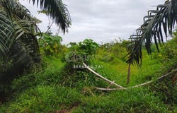 Telok Panglima Garang, Selangor 42500