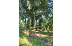 Telok Panglima Garang, Selangor 42500