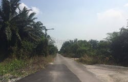 Shah Alam, Selangor 42450