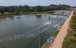 Batu Pahat, Johor Bahru, Batu Pahat, Johor