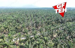 Larut Matang, Perak 34100
