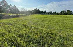 Pontian, Johor 81500