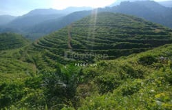 Kuala Kangsar, Perak 33000