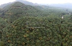 Kuala Kangsar, Perak 31100
