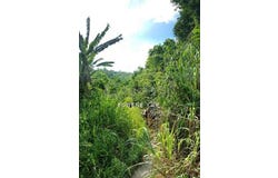 Bentong, Pahang 28700