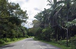 Jalan Batang kali, Batang Kali, Selangor 44300