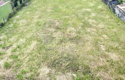 15,,JALAN BATU BUNGKAL,, JALAN BATU BUNGKAL, 30250, Kinta, Perak 30250