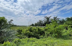 Puchong, Selangor 47100