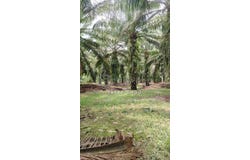 Jenjarom, Selangor 42600
