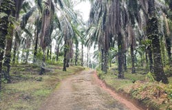 Hulu Selangor, Selangor 44000