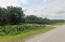 Banting, Selangor 42700