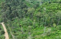 Hulu Perak, Perak 33400