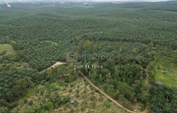 Kangkar Pulai, Johor 81300