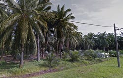 Jalan Bukit Kerayong, Kapar, Selangor