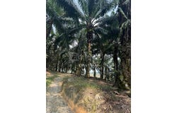 Ulu Tiram, Johor 81800